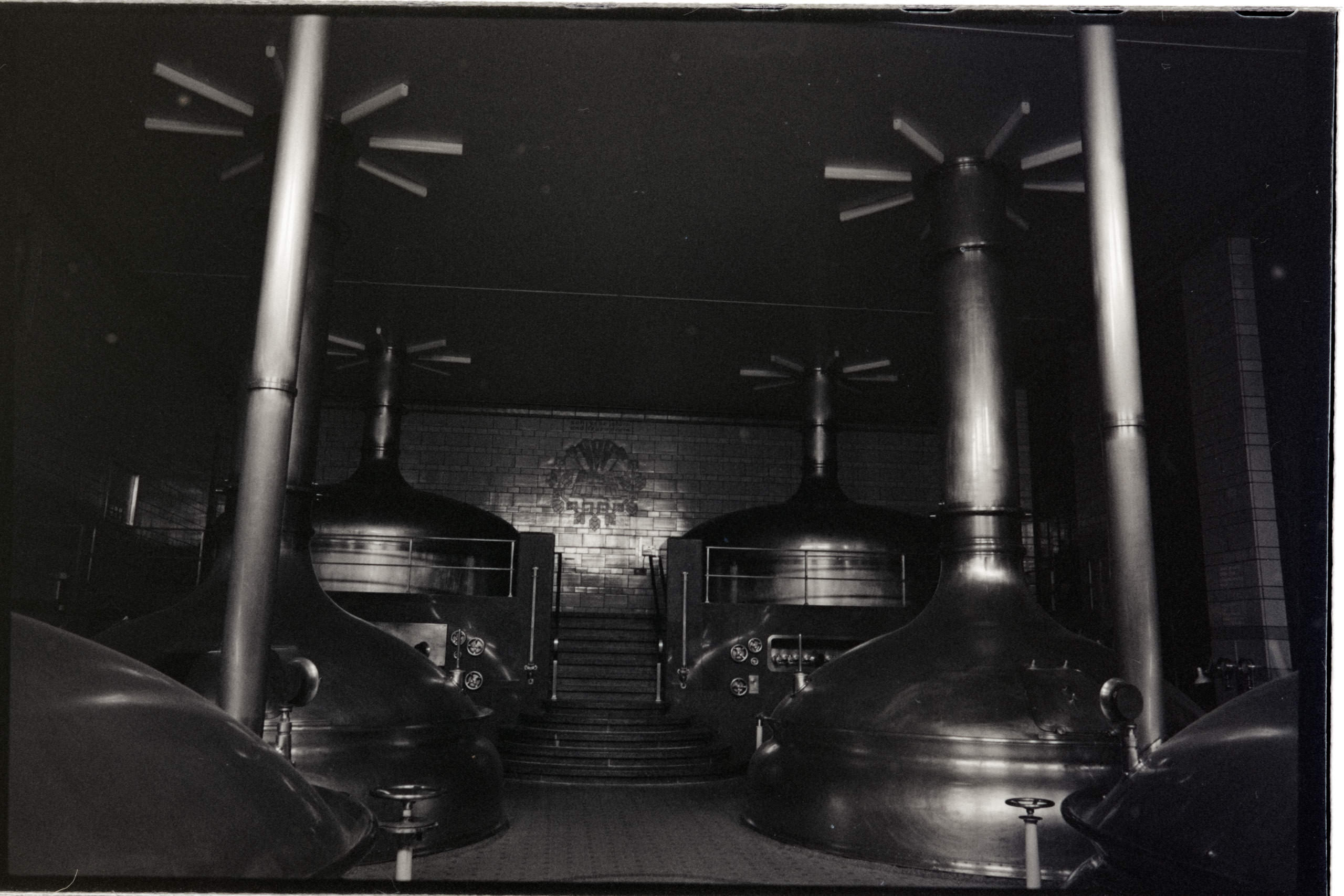 AHP FilmScan 240731 0754